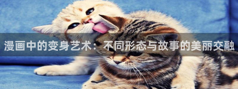 歪歪漫画韩漫首页进入
