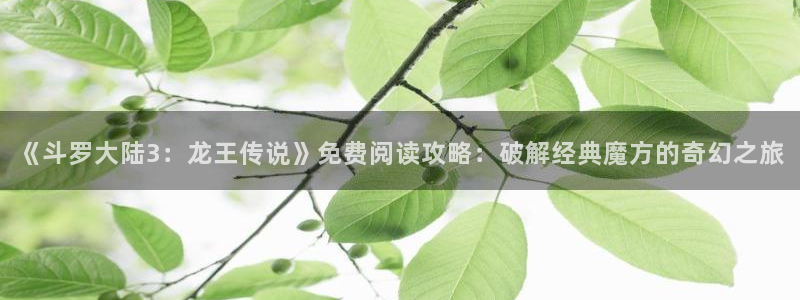 韩漫言情免费观看在线阅读漫画全集