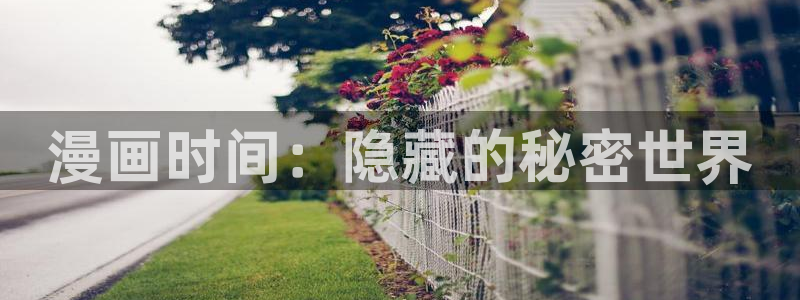 漫画网站jk韩漫在线观看：漫画时间：隐藏的秘密世界