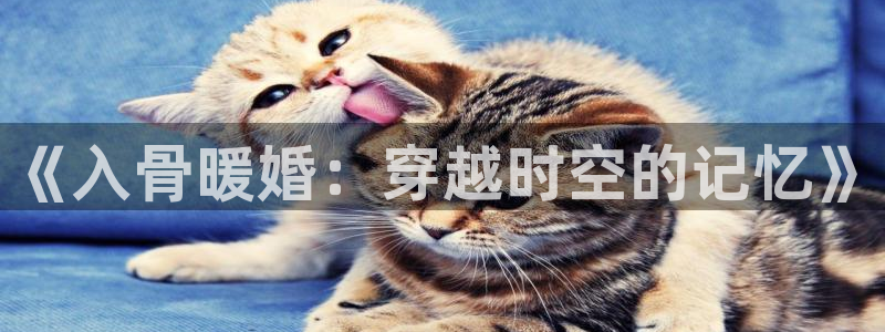 歪歪漫画韩漫网址